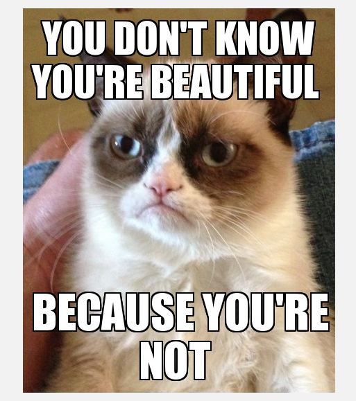 You Don't Know You Are Beautiful Because You Are Not Funny Grumpy Cat Meme Picture