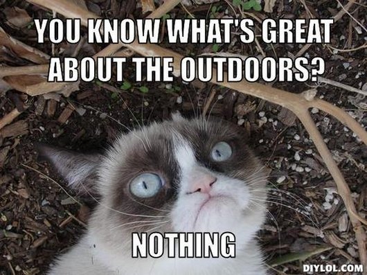 You Know What's Great About The Outdoors Nothing Funny Grumpy Cat Image