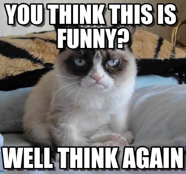 You Think This Is Funny Well Think Again Funny Grumpy Cat Image