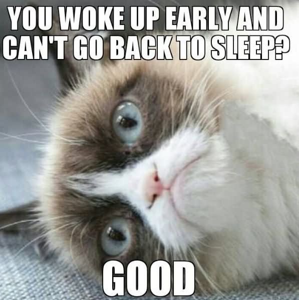 You Woke Up Early And Can't Go Back To Sleep Good Funny Grumpy Cat Meme Image
