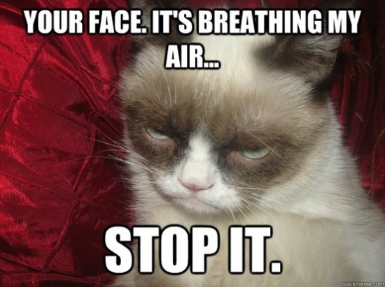 Your Face It's Breathing My Air Stop It Funny Grumpy Cat Meme Photo