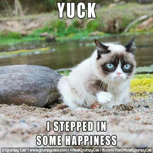 Yuck I Stepped In Some Happiness Funny Grumpy Cat Image