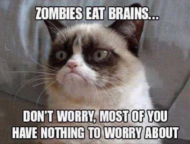 Zombies Eat Brains Don't Worry Most Of You Have Nothing To Worry About Funny Grumpy Cat Meme Image