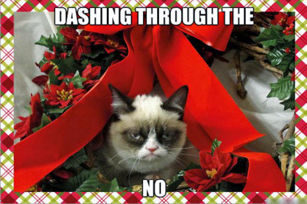 Dashing Through The No Funny Grumpy Cat Meme Image