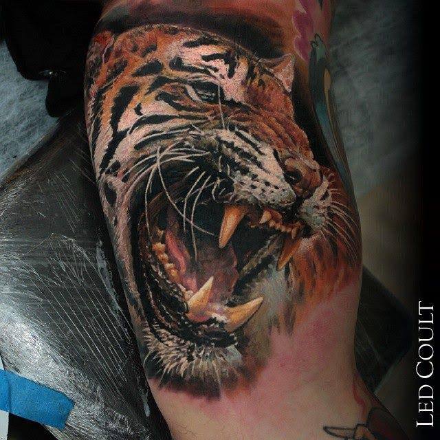 Amazing Angry Tiger Tattoo On Muscles