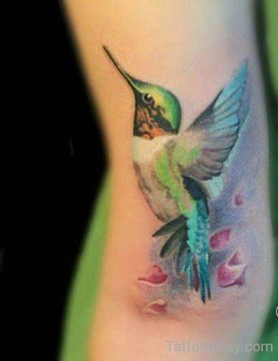 Amazing Color Colibri Tattoo On Forearm