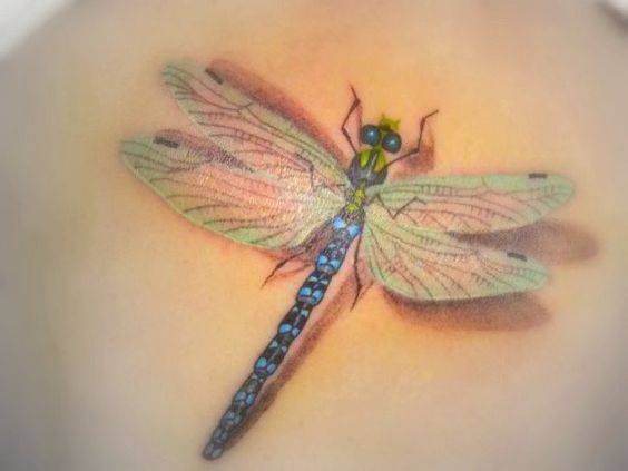 Amazing Dragonfly Tattoo Image