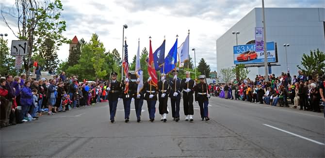Armed Forces Day Parade Picture