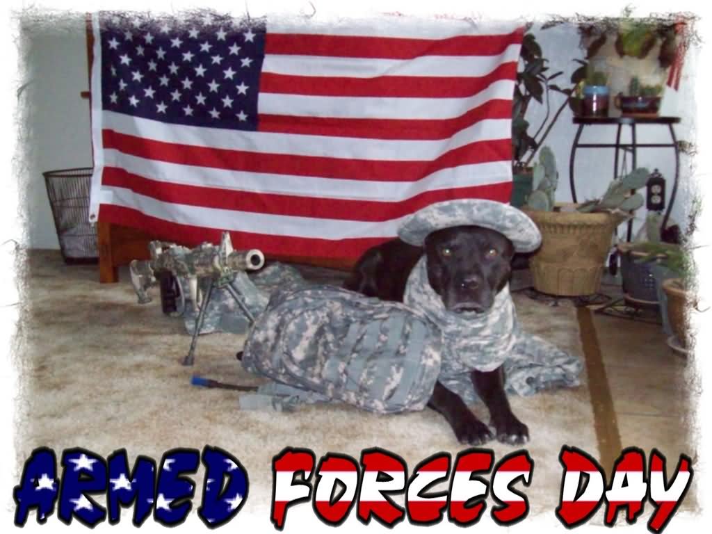 Army Dog Happy Armed Forces Day 2016
