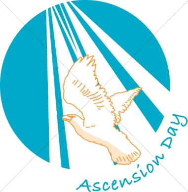 Ascension Day Flying Pigeon Clipart Picture