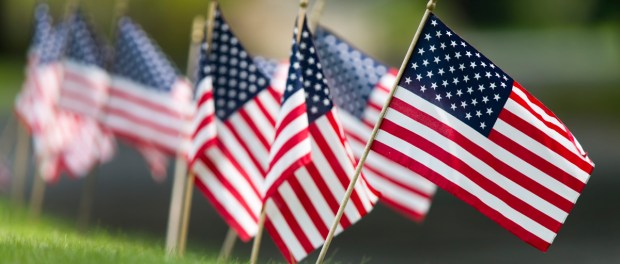 Beautiful American Flags In Line Happy Flag Day 2016