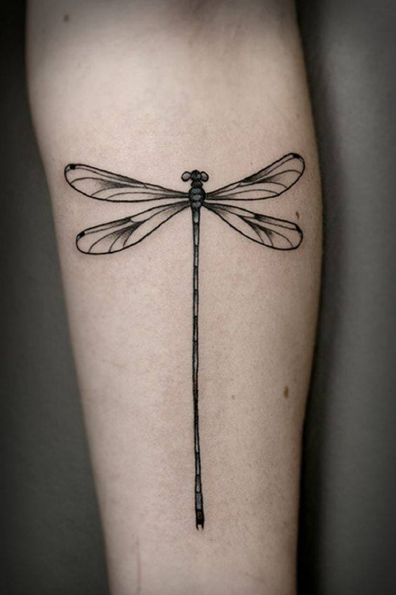 Black And Grey Dragonfly Tattoo On Forearm