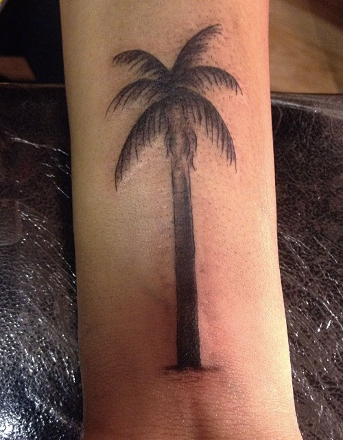 Black And Grey Palm Tree Tattoo On Forearm