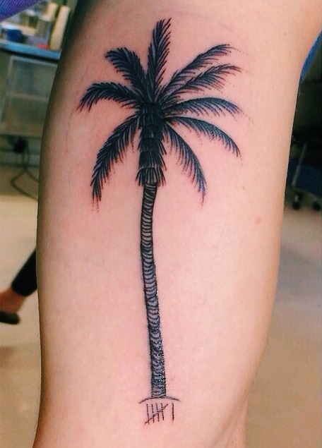 Black And Grey Palm Tree Tattoo On Inner Bicep