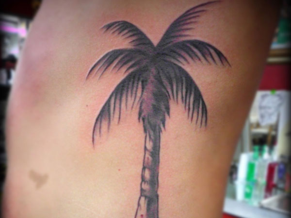 Black And Grey Palm Tree Tattoo On Man Side Rib