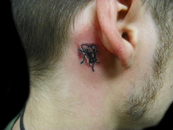 Black Fly Tattoo Tattoo On Man Right Behind The Ear