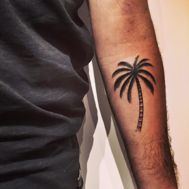 Black Ink Palm Tree Tattoo On Left Arm Sleeve