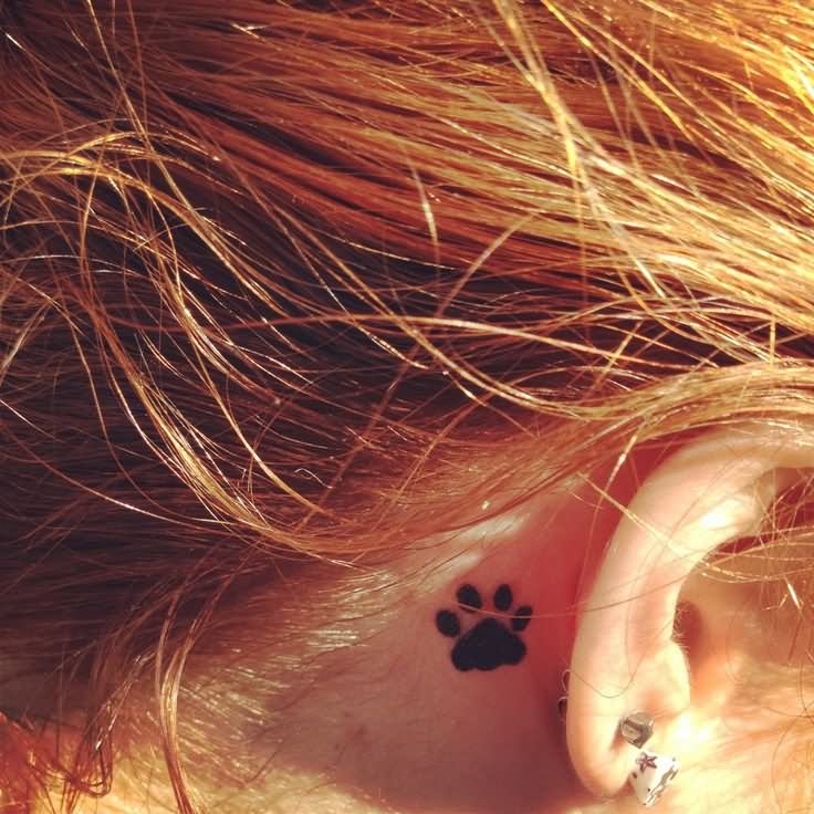Black Paw Print Tattoo On Right Behind The Ear
