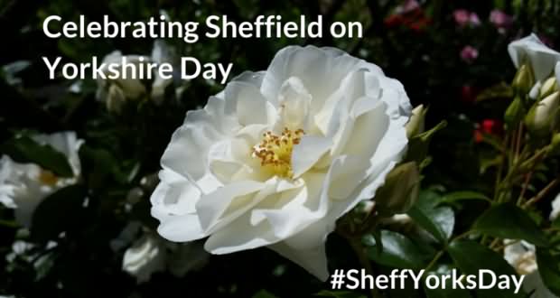 Celebrating Sheffield On Yorkshire Day