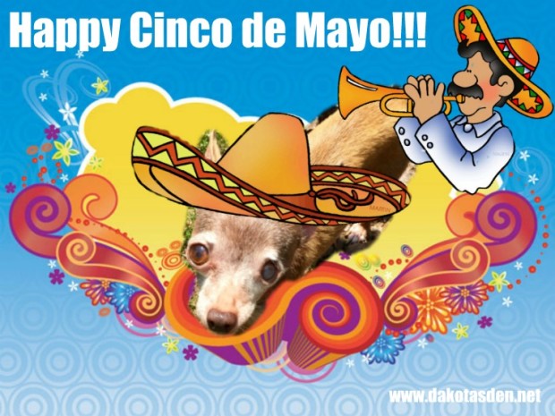 Cinco de Mayo Chico Style Picture