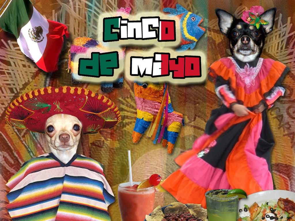 Cinco de Mayo Wishes With Puppies In Mexican Dress Picture