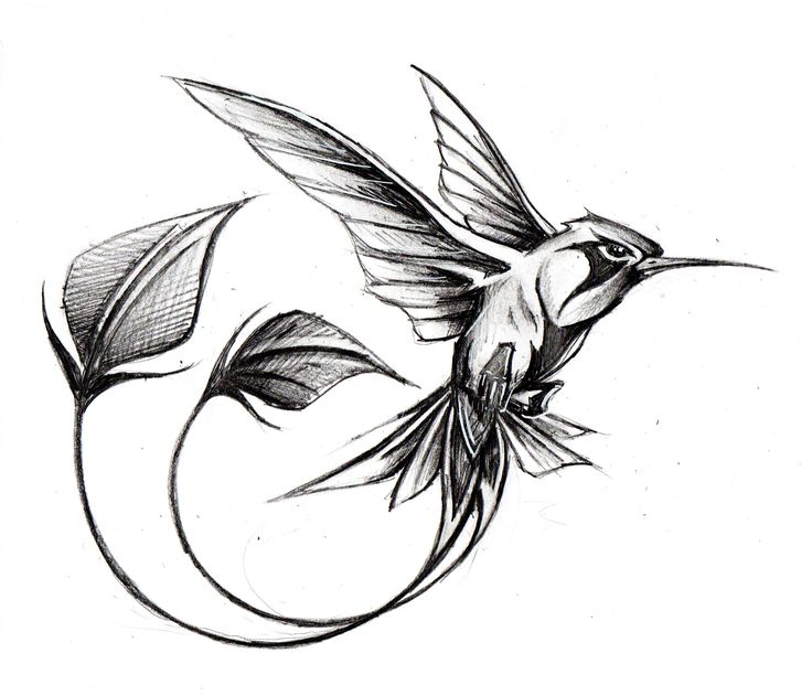 Colibri Tattoo Design Idea