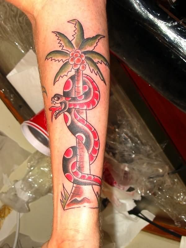 Colored Snake And Palm Tree Tattoo On Right Forearm