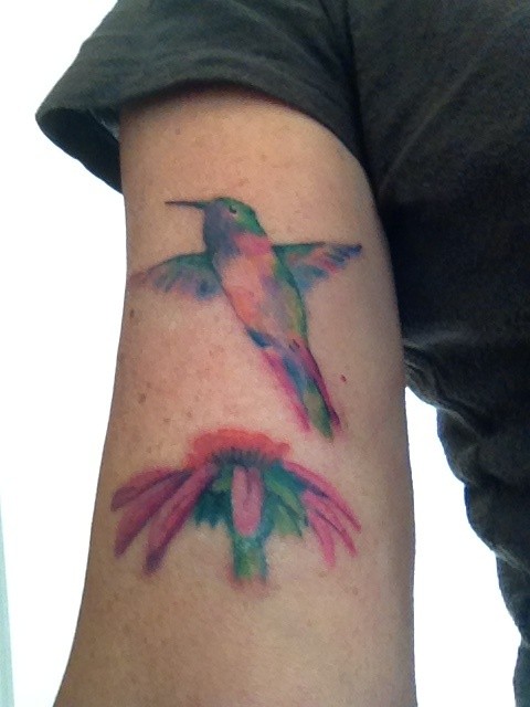 Colorful Colibri Tattoos On Bicep