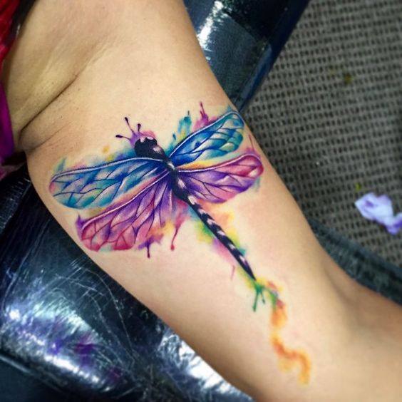 Colorful Dragonfly Tattoo On Bicep