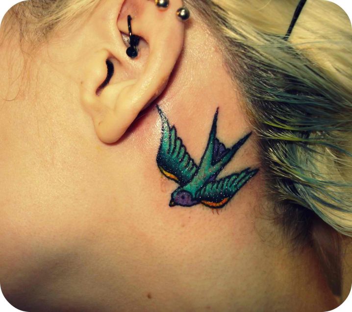 Colorful Flying Bird Tattoo On Left Behind The Ear