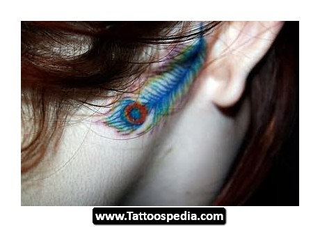 Colorful Peacock Feather Tattoo On Right Behind The Ear