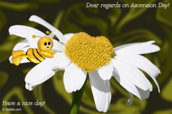 Dear Regards On Ascension Day Have A Nice Day Honey Bee Animated Picture