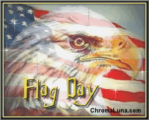 Flag Day Eagle Face Glitter Picture
