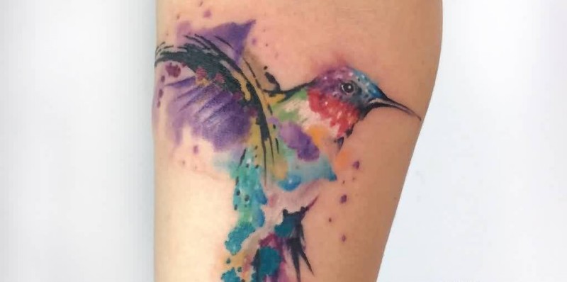 Great Watercolors Colibri Tattoo