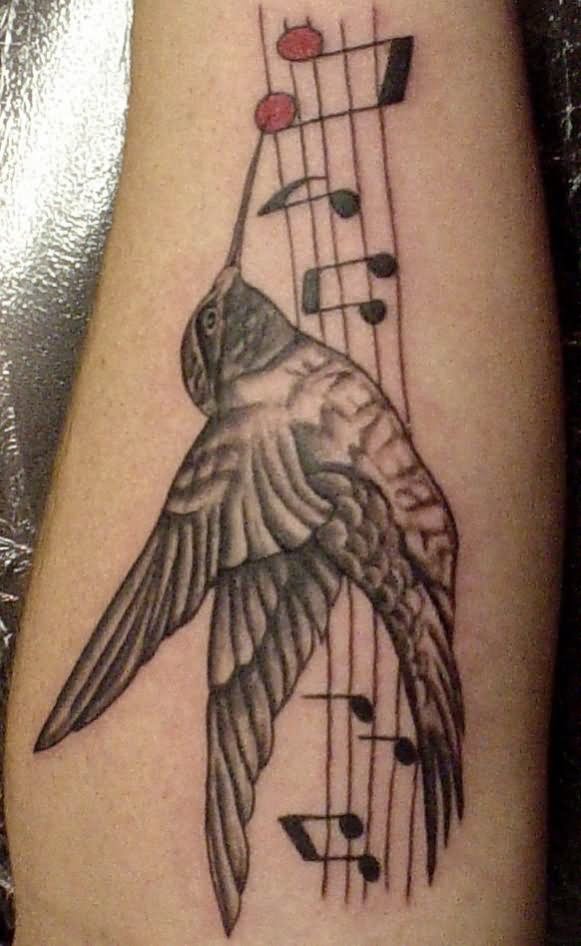 Grey Ink Music Notes And Colibri Tattoo On Forearm