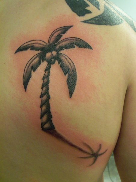 Grey Ink Palm Tree Tattoo On Right Back Shoulder