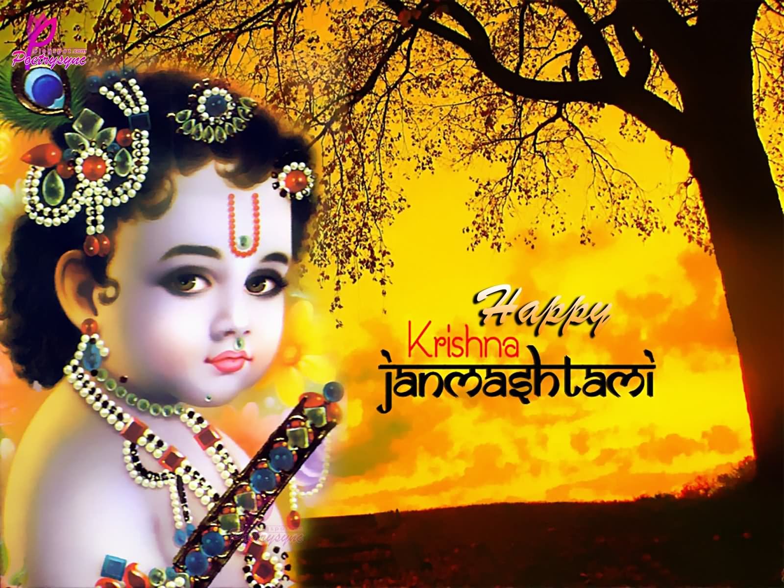 Happy Krishna Janmashtami Bal Krishna Picture