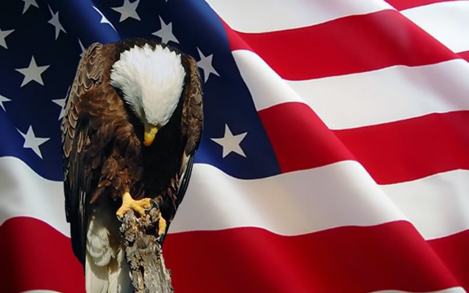 Happy Memorial Day Eagle And American Flag Picture