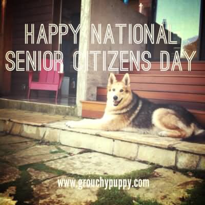 Happy National Senior Citizen Day Image