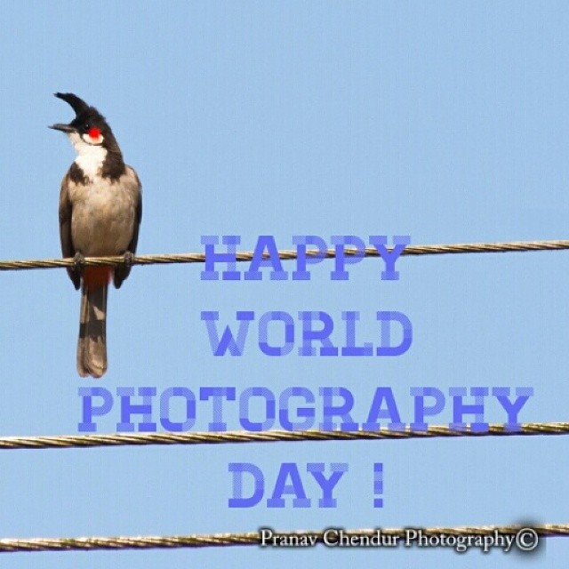 Happy World Photography Day 2016 Picture