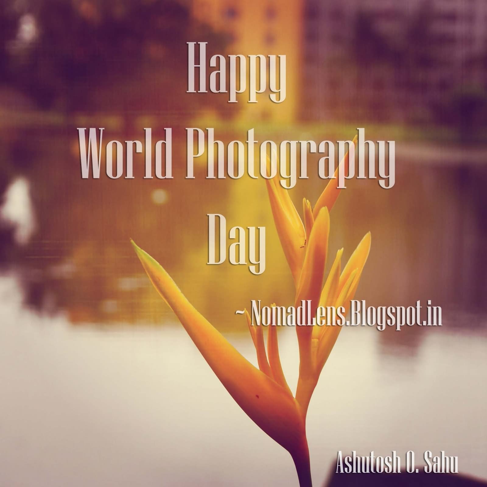 Happy World Photography Day 2016