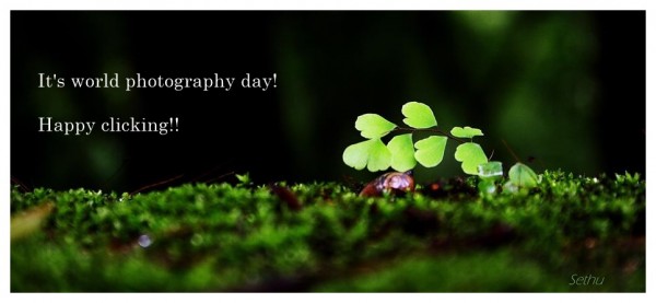 It's World Photography Day Happy Clicking