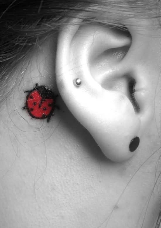 Ladybird Tattoo On Right Behind The Ear