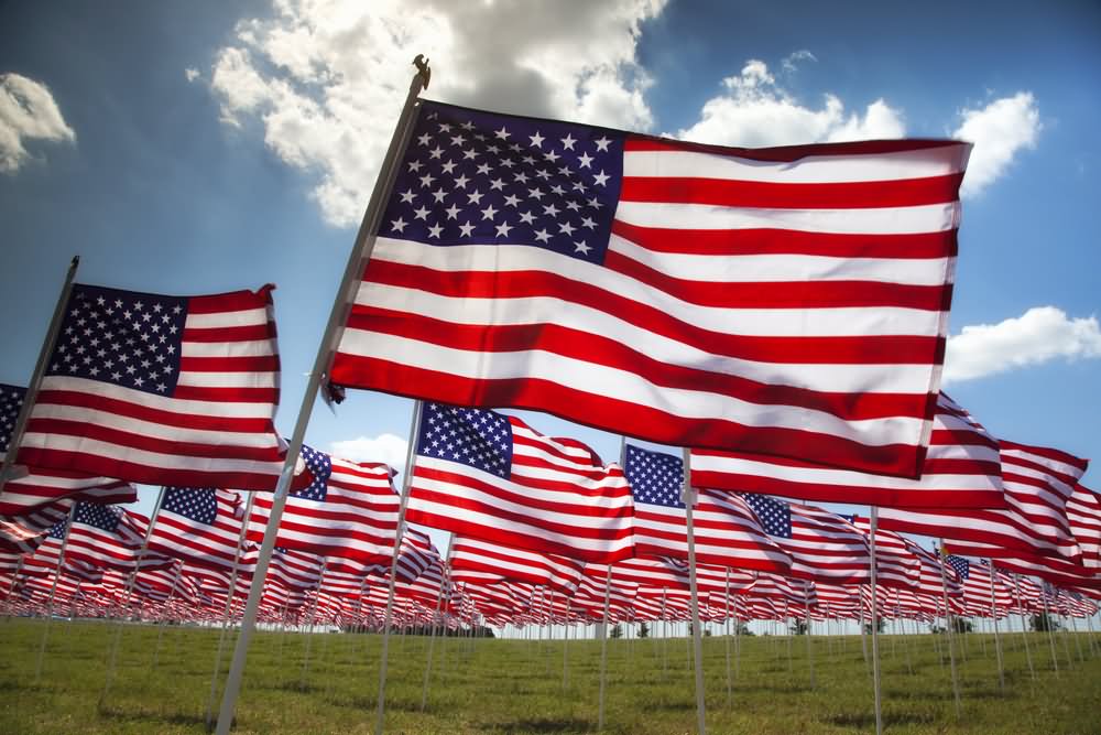 Large Number Of Waving American Flags Happy Flag Day 2016 Picture