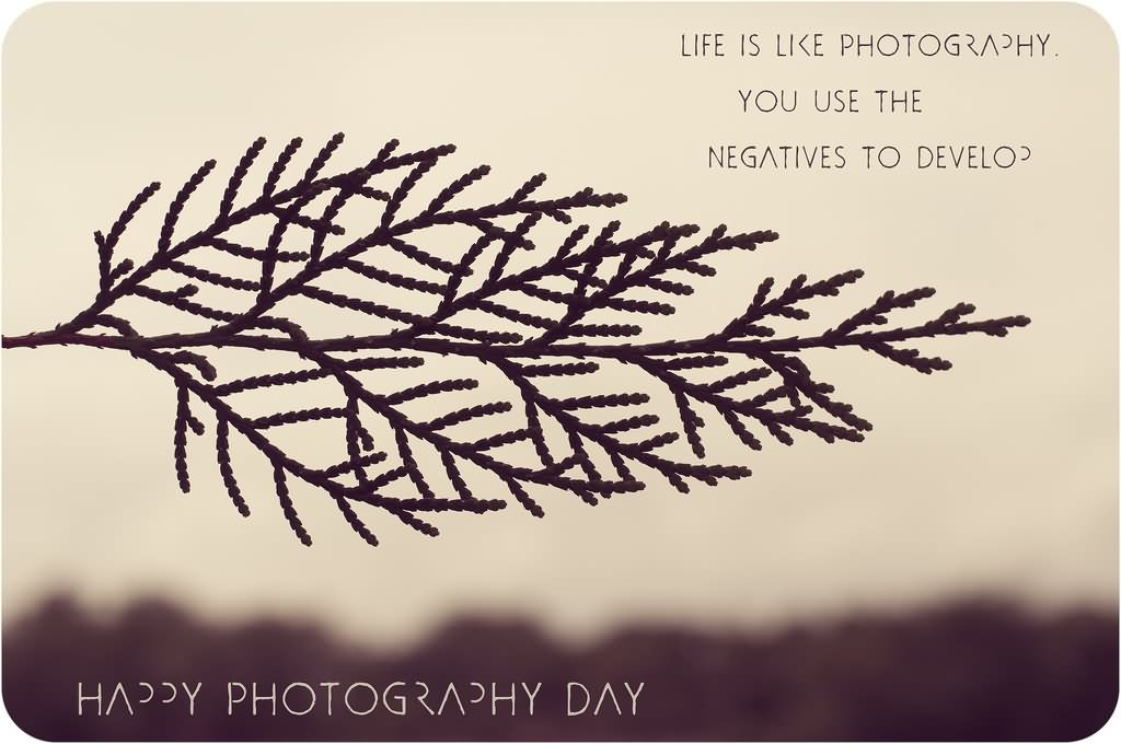 Life Is Like Photography You Use The Negatives To Develop Happy Photography Day