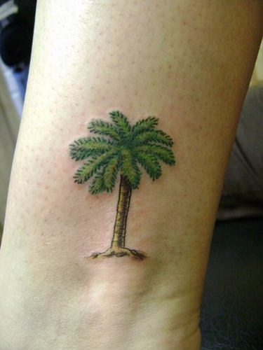 Lovely Palm Tree Tattoo On Wrist