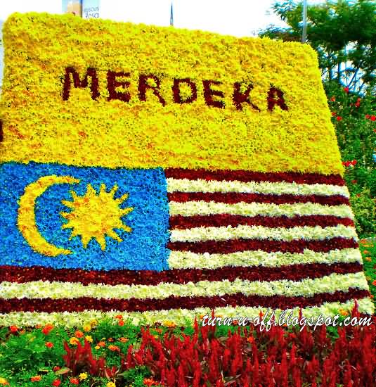 Malaysia Independence Day Flowers Malaysian Flag Picture