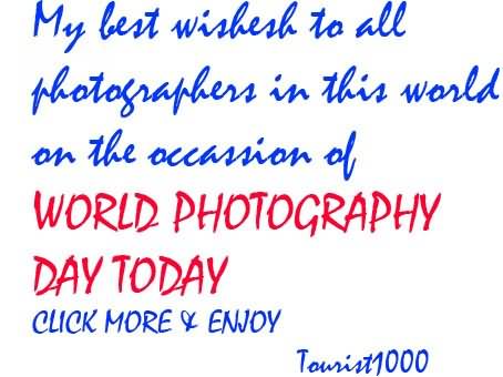 My Best Wishes To All Photographers In This World On The Occasion Of World Photography Day Today