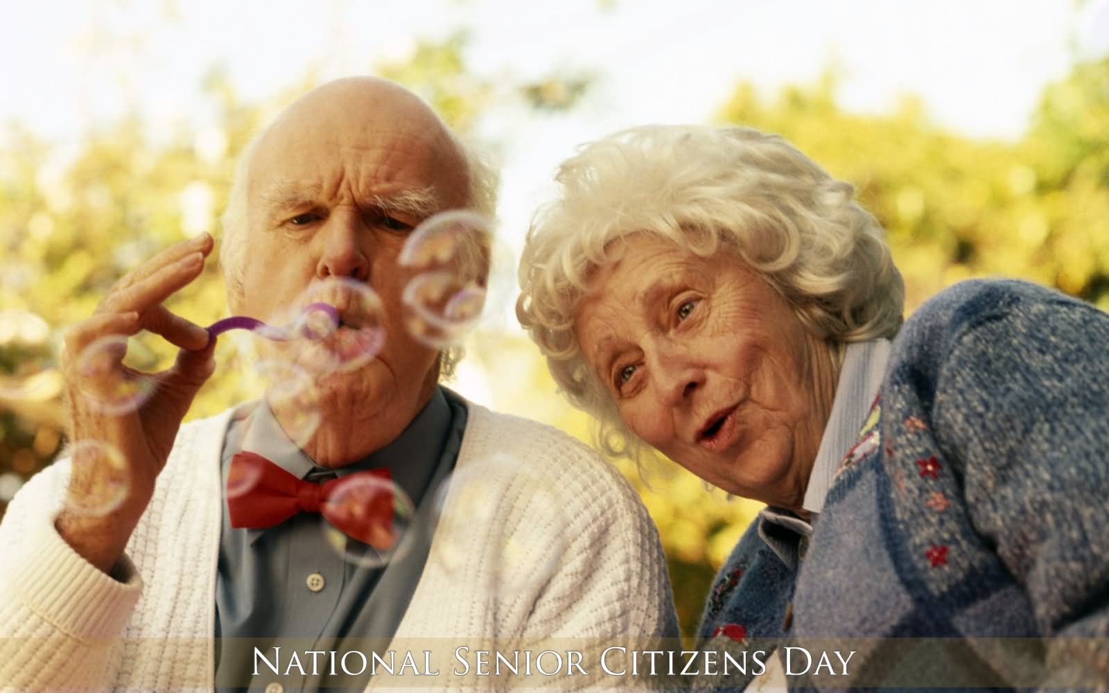 National Senior Citizen Day Beautiful Old Couple Picture