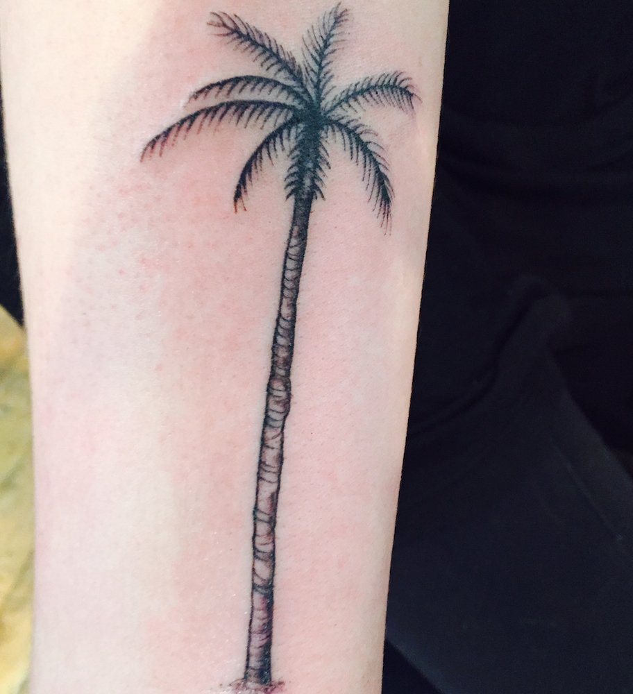 Nice Grey Ink Palm Tree Tattoo On Forearm